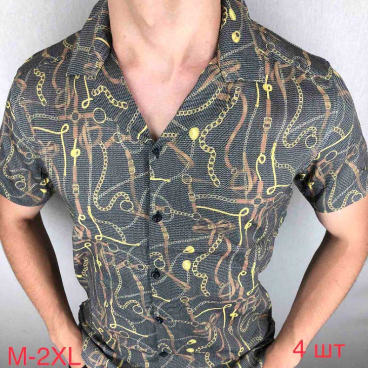Сорочка Paul Semih р M-2XL Чоловіча Q0027 black - Nadiyka BG/PO2161-2162