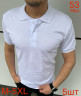 Футболка поло Lacoste  чоловіча, м.53, (р. M–5XL),  8 кольорів, в упаковці 5 штук №751328 - Nadiyka BG/PO2161-2162