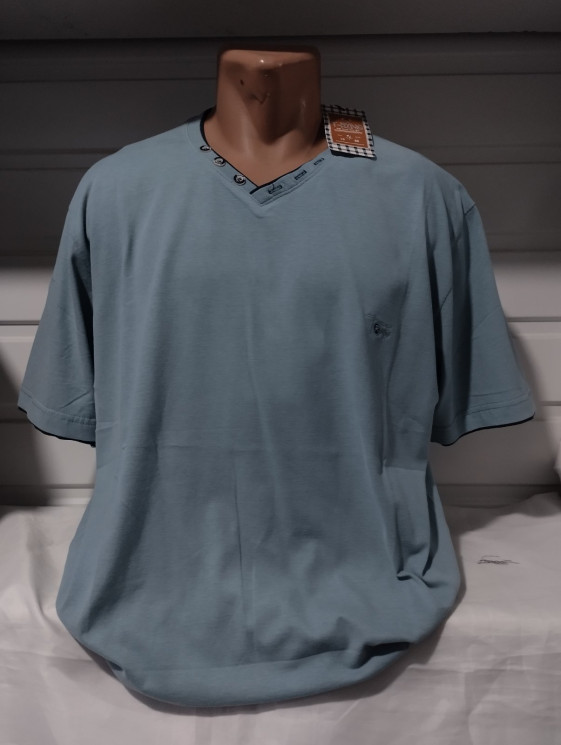 Футболка чоловіча котон T-Ring (р:4XL-7XL) 5 кольорів в упаковці 4 штуки №762491 - Stinger WE1120