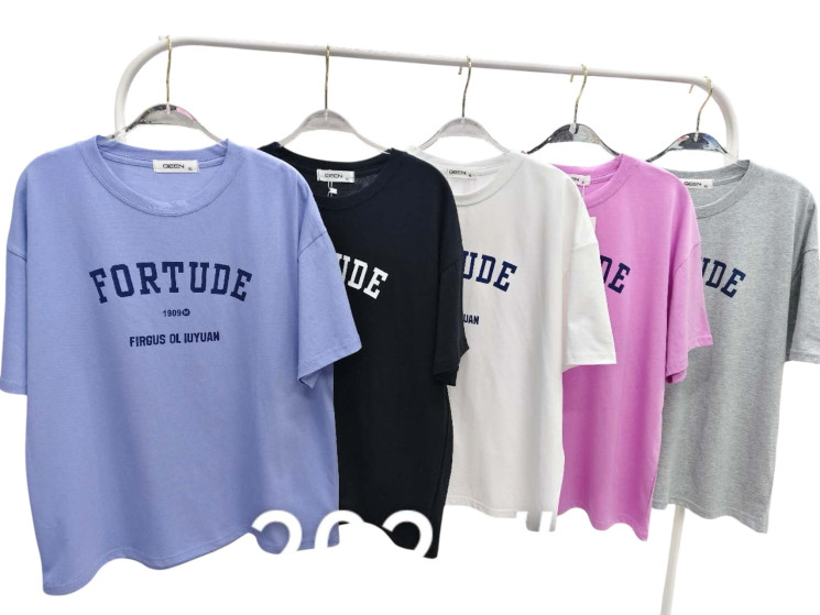 Футболка жіноча, котон (розмір: L-2XL ), мікс кольорів, в упаковці 6 штук №344633 - Vanda SE1013
