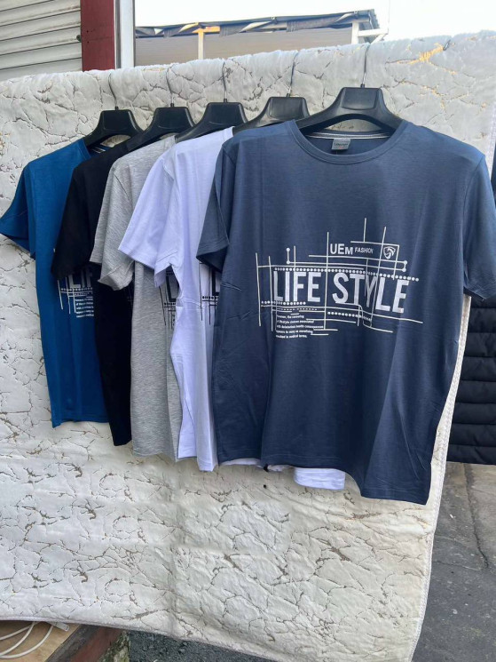 Футболка чоловіча, трикотаж (р. XL-3XL ), мікс кольорів, в упаковці 5 штук №325653 - Vanda SE1013