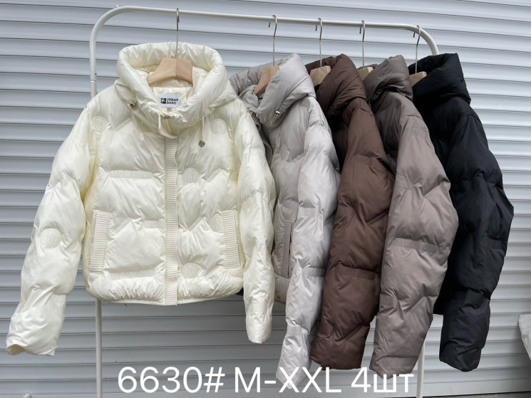 Куртка жіноча, плащівка, синтепон, м.6630 (розмір: M-XXL ), 5 кольорів, в упаковці 4 штуки №340510 - Vanda SE1013