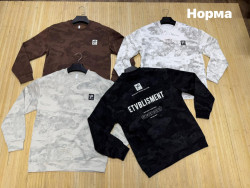 Світшот чоловічий, двохнитка (р: L,XL,2XL,3XL,4XL) 4 кольори, в упаковці 5 шт. №388402