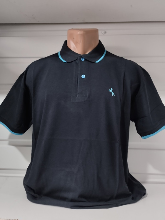 Футболка чоловіча поло (р: 2XL-6XL) 6 кольорів в упаковці 5 штук №762492 - Stinger WE1120