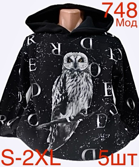 Худі чоловіча фліс м.748 (р.S-2XL)  в упаковці 5 штук 759421 - Nadiyka BG/PO2161-2162