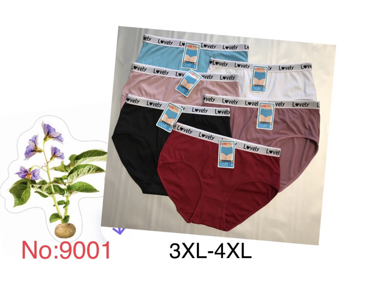 Труси жіночі, котон, м.9001 ( розмір: 3XL-4XL ), мікс кольорів, в упаковці 12 штук №332918 - VanKiey 434