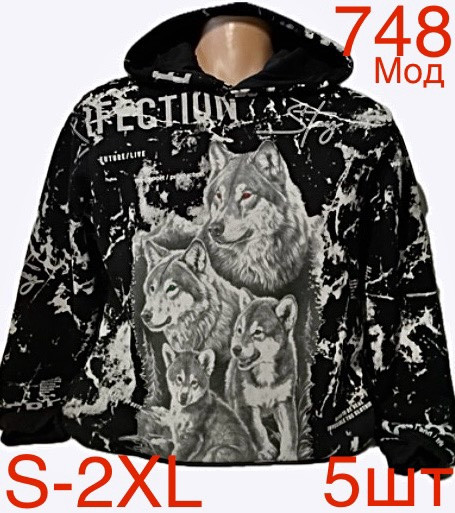 Худі чоловіча фліс м.748 (р.S-2XL)  в упаковці 5 штук 759422 - Nadiyka BG/PO2161-2162