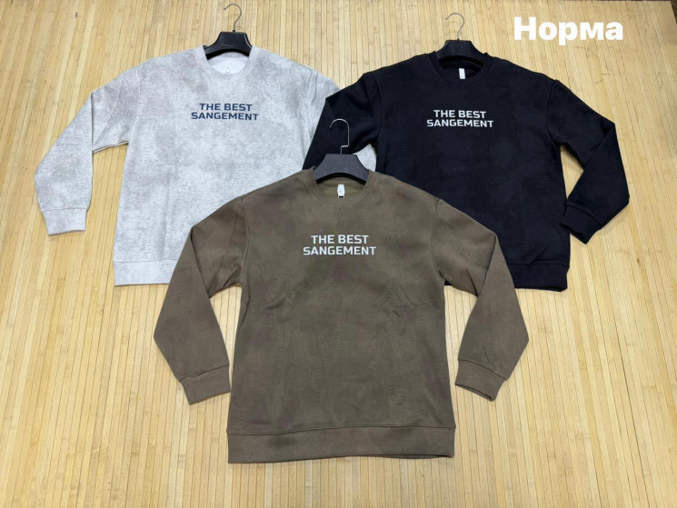 Світшот чоловічий, двохнитка (р: L,XL,2XL,3XL,4XL) 3 кольори, в упаковці 5 шт. №388404 - Turkey SE897