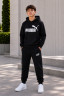 Спортивний костюм підлітковий Puma "305-3" двохнитка (р: 13-17 років) 2 кольори, в упаковці 5 шт. №389412 - Evans SE761