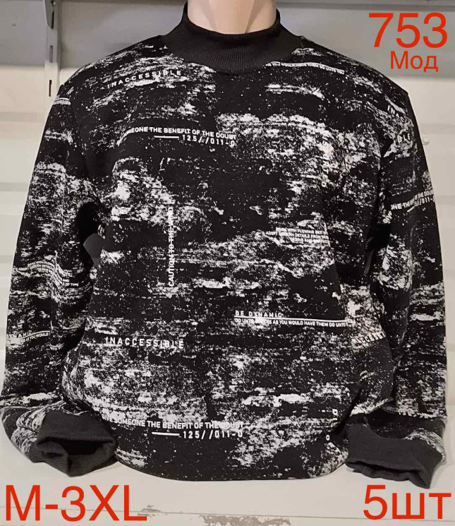 Світшот чоловічий фліс м.753 (р.М-3XL)  в упаковці 5 штук 759424 - Nadiyka BG/PO2161-2162