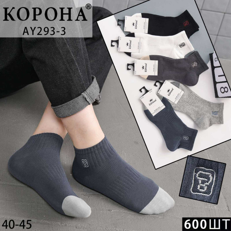 Шкарпетки чоловічі м.AY293-3 (р:40-45) в упаковці 10 штук №762802 - Haner 449/451