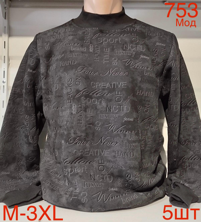 Світшот чоловічий фліс м.753 (р.М-3XL)  в упаковці 5 штук 759425 - Nadiyka BG/PO2161-2162