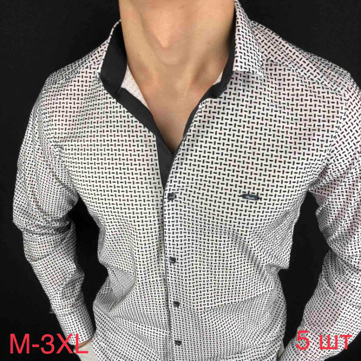 Сорочка Paul Semih р M-3XL Чоловіча V34 white - Nadiyka BG/PO2161-2162