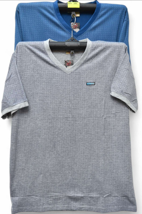 Футболка чоловіча, трикотаж (р. 5XL-7XL ), мікс кольорів, в упаковці 5 шт. №313254 - Vanda SE1013