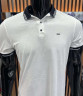 Футболка поло, р. M-2XL, трикотаж, 7 кольорів в упаковці 4 штуки №808877 - NikNumbers SE1041-1042