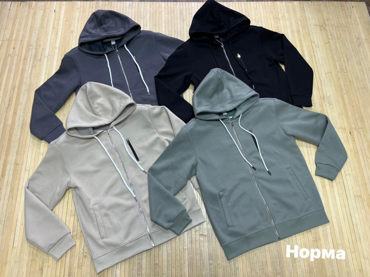 Худі чоловіче (р: L,XL,2XL,3XL,4XL) 4 кольори, в упаковці 5 шт. №382024 - Turkey SE897
