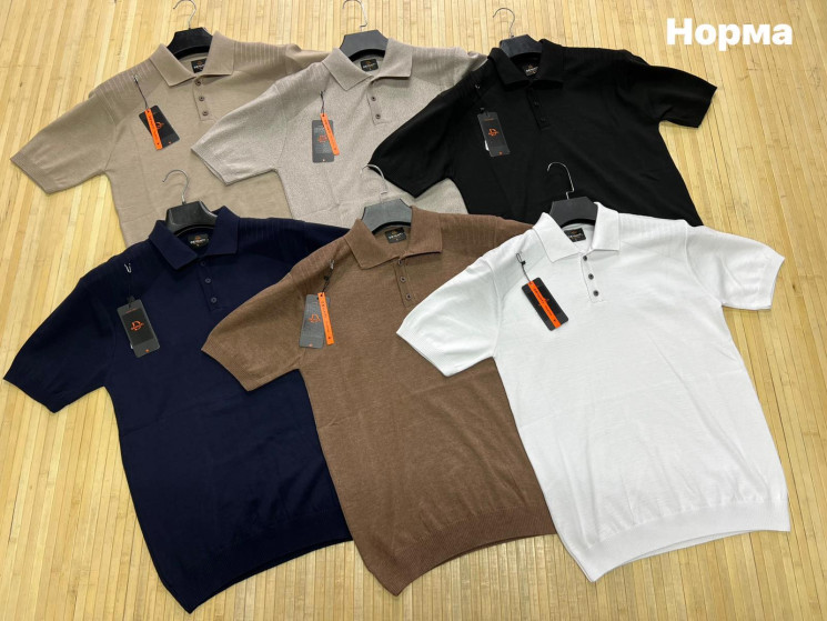 Футболка поло чоловіча (р: L,XL,2XL,3XL) 6 кольорів, в упаковці 4 шт. №381812 - Turkey SE897