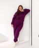 Костюм жіночий прогулянковий утеплений "Style-26", тринитка з начосом м. 7711 (р. 40-42, 44-46, 48-50, 52-54) марсала №416469 - 