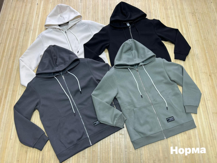 Худі чоловіче (р: L,XL,2XL,3XL,4XL) 4 кольори, в упаковці 5 шт. №382025 - Turkey SE897