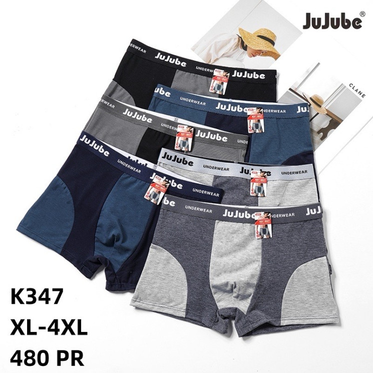 Труси чоловічі, котон, м.К347 (розмір: XL-4XL), мікс кольорів, в упаковці 24 шт. №322090 - VanKiey 434