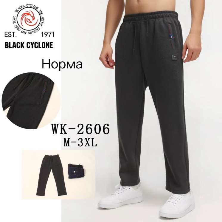 Спортивні штани чоловічі, трикотаж, фліс, м.WK-2606 (Розмір: M-3XL ), 3 кольори, в упаковці 5 штук №336022 - 