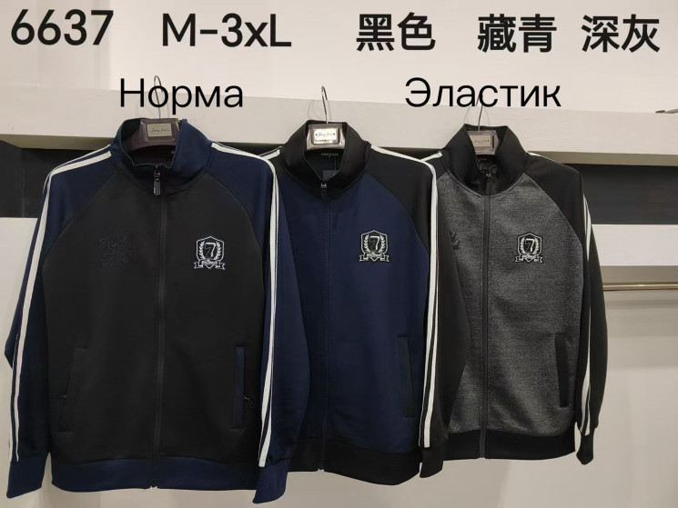 Худі чоловіче, еластик, м.6637 (Розмір: M-3XL ), 3 кольори, в упаковці 5 шт. №332819 - 