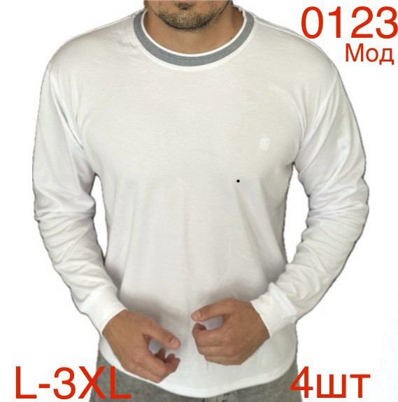Світшот чоловічий норма , трикотаж, м.0123 (р. L-3XL), 8 кольорів, в 1 упаковці 4 шт №750415 - 