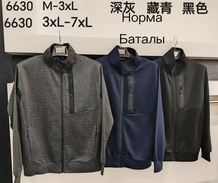 Худі чоловіче, еластик, м.6630 (Розмір: M-3XL ), 3 кольори, в упаковці 5 шт. №332820 - 