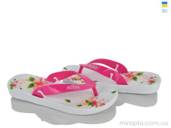 В'єтнамки Payas pink р: 36-41, в упаковці: 8 пар, купити тільки гуртом