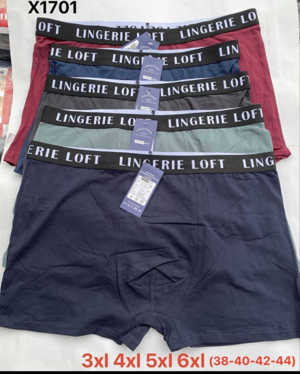 Труси чоловічі  м.X1701 (розмір: 3XL-6XL)  мікс кольорів  в упаковці 12 штук №755466 - Haner 449/451