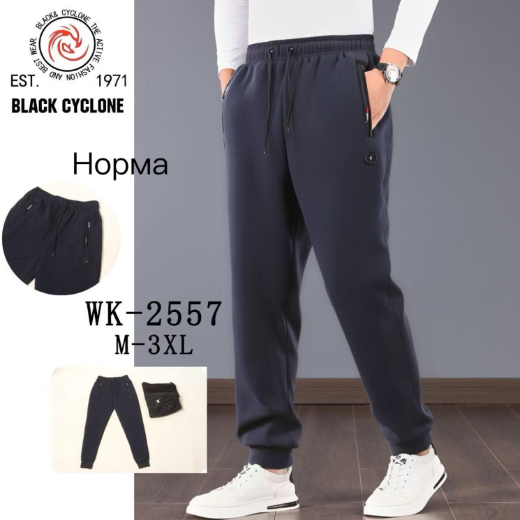 Спортивні штани чоловічі, трикотаж, фліс, м.WK-2557 (Розмір: M-3XL ), 3 кольори, в упаковці 5 штук №336025 - 