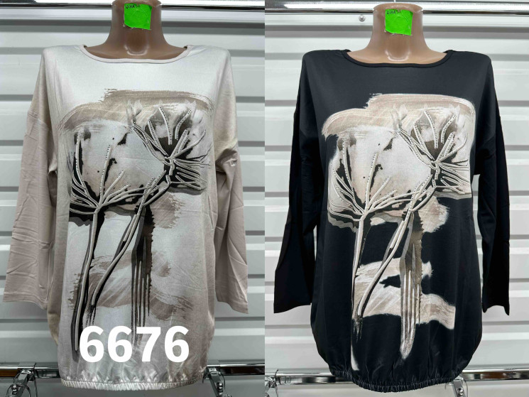 Кофта жіноча "6676" (р: 48-56) 2 кольори, в упаковці 5 шт. №376954 - Natasha SE669