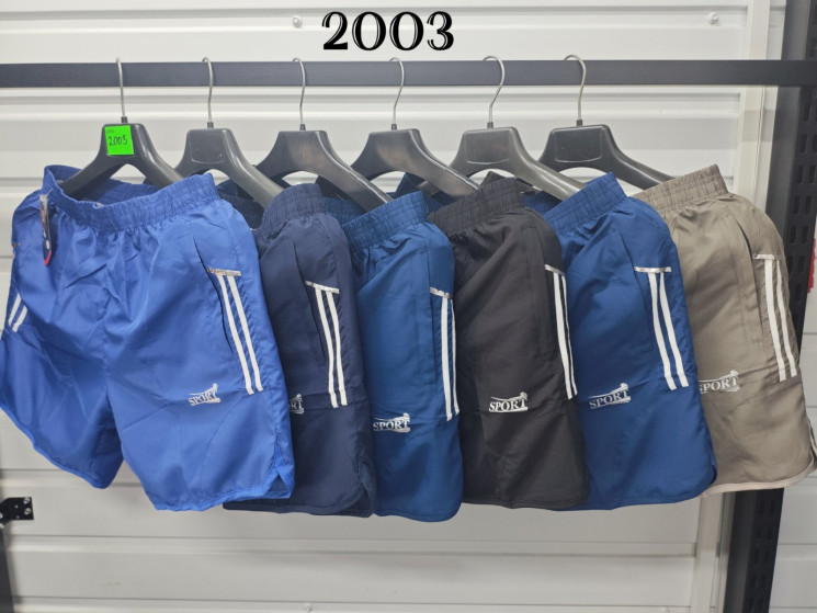 Шорти чоловічі "2003" плащівка (р: XL-5XL) 5 кольорів, в упаковці 5 шт. №383557 - Eiliya WE3113