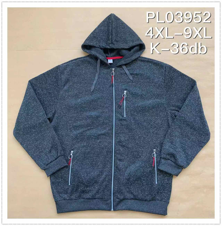 Спортивна кофта чоловіча, фліс (р. 4XL-9XL) 1 колір, в упаковці 6 шт. №952609 - Iris BG/PO 436