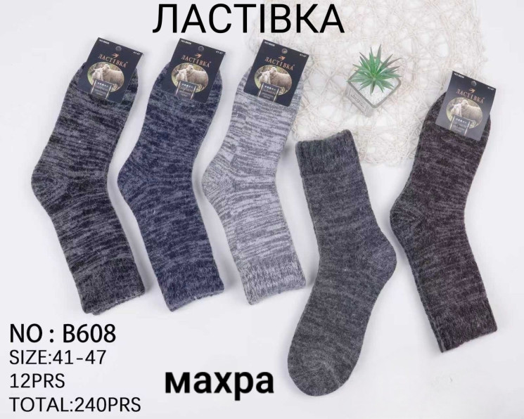 Шкарпетки чоловічі м.B608 (р:41-47) в упаковці 12 штук №764928 - Haner 449/451