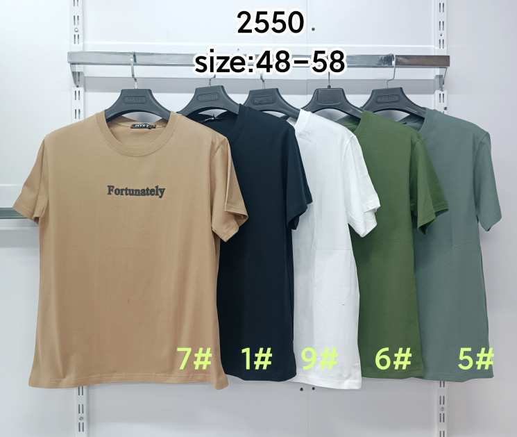 Футболка чоловіча, котон, м.2550 (розмір: 48-58 ), 5 кольорів, в упаковці 6 штук №341511 - 