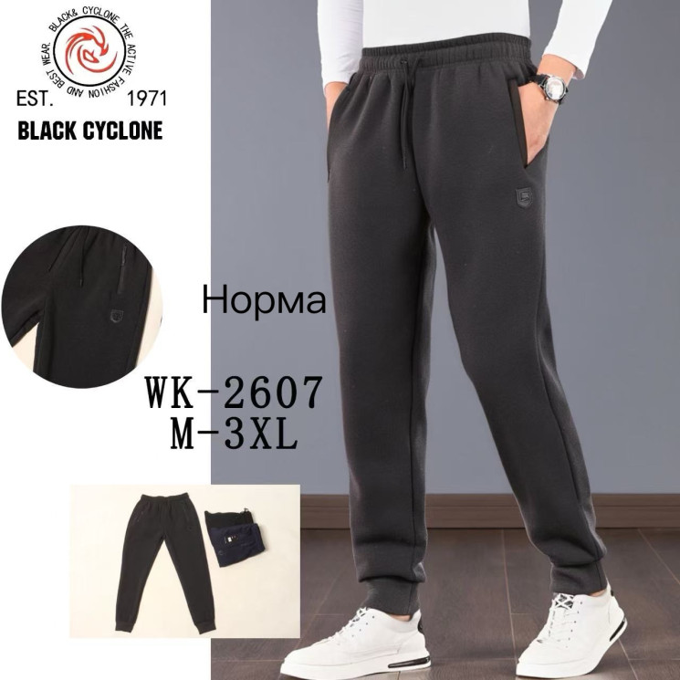 Спортивні штани чоловічі, трикотаж, фліс, м.WK-2607 (Розмір: M-3XL ), 3 кольори, в упаковці 5 штук №336028 - 