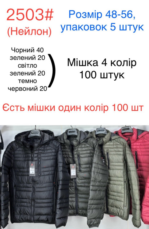 Куртка демісезонна чоловіча, плащівка, холофайбер, м.2503 (р. 48-56 ), 4 кольори, в упаковці 5 шт. №332483 - 