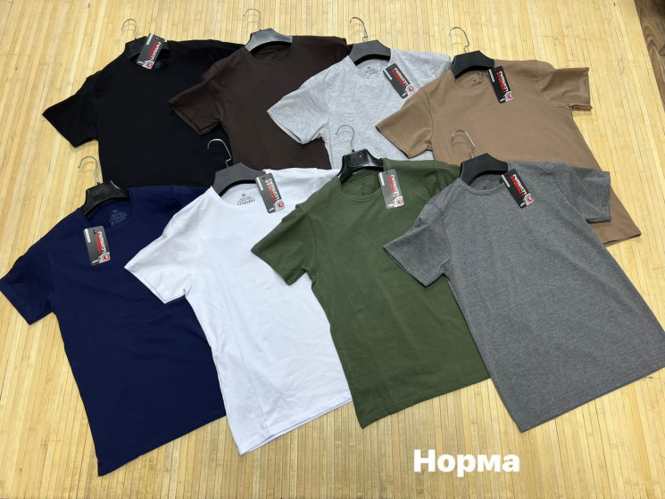Футболка чоловіча (р: М,L,XL,2XL,3XL) 8 кольорів, в упаковці 5 шт. №382033 - Turkey SE897