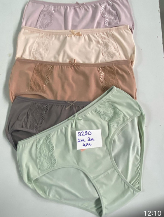 Труси жіночі, комбінований, м.9290 (р: 2XL, 3XL, 4XL), 5 кольорів, в упаковці 10 шт. №315368 - Belio HR1840