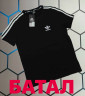Футболка чоловіча "4395" (р: 2XL-6XL) в упаковці 5 шт. №371029 - AlexClothes SER2276