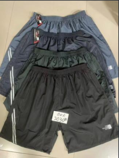 Шорти чоловічі "2030" (р: 6XL-10XL) 4 кольори, в упаковці 5 шт. №370152 - Eiliya WE3113